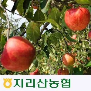[지리산농협] 지리산 반달곰 부사 사과 5kg