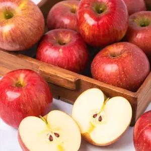 달콤한 가정용 부사 사과 10kg 중대과(20-45과 내외)