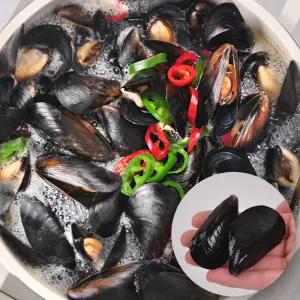 [당일채취발송] 손질 홍합 10kg