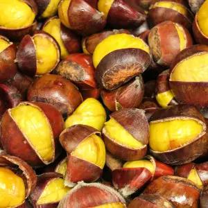 25년 햇 약단밤 단밤 군밤 1kg