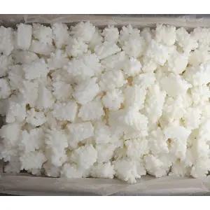 솔방울 오징어 10kg 최상급 손질 대왕 벌크