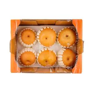 황금빛 든 나주 신고배 3kg (4~7입) 박스