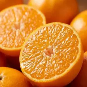 로또마켓 선물세트 고당도 천혜향 3KG 5KG 가정용