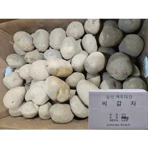 강원도 정선 씨감자 수미 20kg 보급종 감자씨