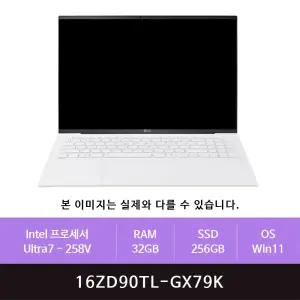 LG전자 그램 프로16 16ZD90TL-GX79K Win11설치(zoaa)