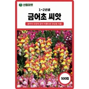 금어초 500립 용머리 모양 관상용 1~2년생 꽃씨 종자