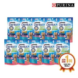 덴탈라이프 연어 캣 트릿 51G 10팩