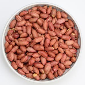 25년 볶은땅콩 500g 24/28 (큰알) 1봉