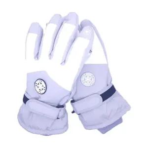 bns 보드 스키 스마트폰 터치 방수 방한 장갑 방수 방한 보드장갑 스키장갑 눈썰매장갑