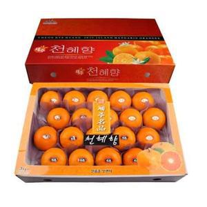 천혜향5kg 특대(17~23과) / 제주