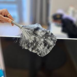 [아스토니쉬] 먼지털이개 소