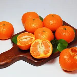 만다린 진한 감귤 3/ 4/ 5kg