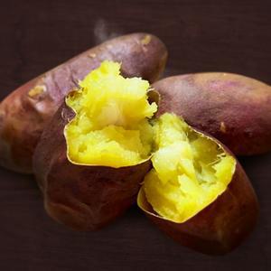 2025 해남 유기농 햇 꿀밤고구마 3kg/5kg/10kg