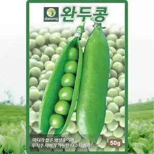 완두콩 씨앗 50g 왜성종 완두콩씨 종자