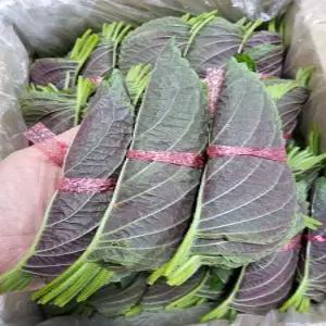 깻잎 곡성 접은깻잎 10매 (100장) 야채맘