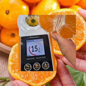 제주 고당도 노지 감귤 가정용 못난이 밀감 4.5kg(L-2L)