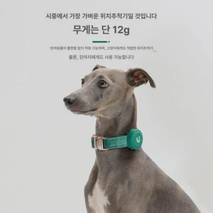 틴다샵 강아지위치추적기 목걸이 강아지 위치추적기