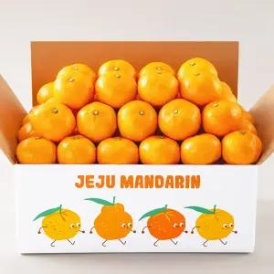 제주 서귀포 중문농협 로얄과 타이벡 감귤 4.5kg (11Brix이상)