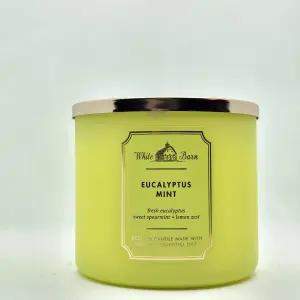 배스 앤 바디 웍스 에센셜 오일이 함유된 화이트 반 3윅 캔들 14.5온스 뉴 코어 향 유칼립투스 민트