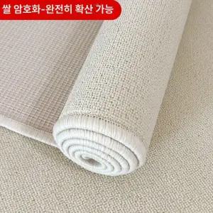 초대형 카페트 300 거실용 400 카펫 넓은 심플 롤매트 스튜디오 특대형 사계절 빈티지