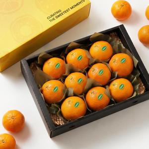 제주 골든릭스 프리미엄 제철 레드향 가정용 4.5KG 겨울과일