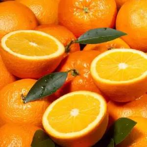 [산해직송] 블랙라벨 오렌지 M 중과 / 30과