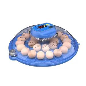 자동 회전 병아리 부화기 달걀 메추리 육추기