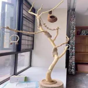 횟대 새 놀이터 나뭇가지 앵무새 스탠드 통나무 새집 조류