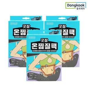동국제약 굿잠 온찜질팩(허리용) 4입 3박스 총 12매 / 온열스팀 테라피 허브훈증 허리통증
