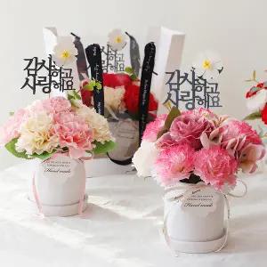New 메르시 비누꽃 카네이션 화분 세트 가정의달 스승의날 어버이날 선물