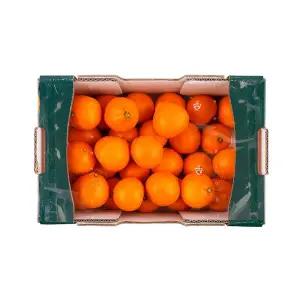 고당도 하우스 감귤 1.8kg 박스