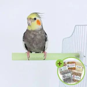 [하프클럽/올펫몰]반짝 발톱갈이 횃대(대) 중소형 앵무새 장난감 03751