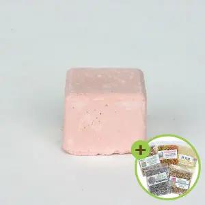 [하프클럽/올펫몰]퀴코 요오드 블럭 S 앵무새 영양제 아이오딘 영양보충