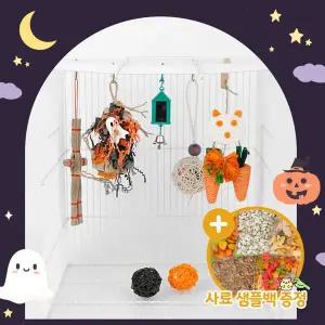 [하프클럽/올펫몰]내새꾸 할로윈 A세트 앵무새 장난감 용품 새장 반려조