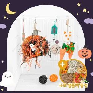 [하프클럽/올펫몰]내새꾸 할로윈 C세트 앵무새 장난감 용품 새장 반려조