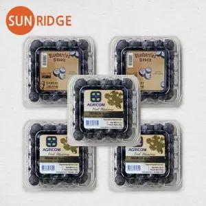 직수입 고당도 칠레 생 블루베리 125g 3팩 5팩