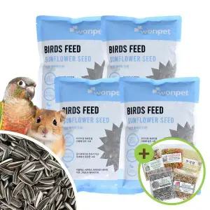 [하프클럽/올펫몰]대용량 원펫 해바라기씨 400g4 앵무새 햄스터 간식