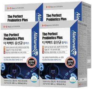 네추럴라이즈 더 퍼펙트 유산균 60캡슐 4박스 8개월분 100억 생유산균 프롤린 포스트 프로바이오틱스