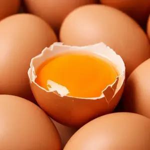 난각번호1번 계란 유정란 무항생제 자연방사 20구 40구