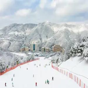 25/26 비발디파크 동계 리프트/장비렌탈 PKG/스노위랜드/오션월드