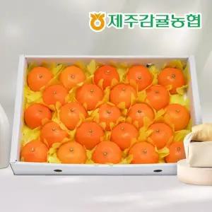 [1/20순차출고][제주바람] 제주농협 직송 천혜향 선물세트 4.5kg(12-22과)