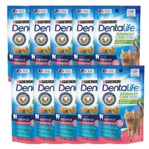 고양이 덴탈라이프 이빨 과자 51g 10P 치석관리 간식 고양이과자 고양이스낵