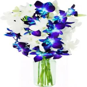 카블룸 꽃병이 든 파란색 5개와 흰색 5개의 별이 빛나는 밤 꽃다발 생일 발렌타인데이 어머니의 날을 위한