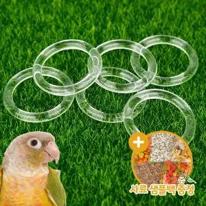 [하프클럽/올펫몰]앵무새 훈련용 고리(6p) 투명링 장난감 지능발달 두뇌자극