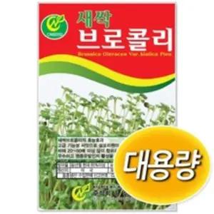 대용량 새싹씨앗 브로콜리 500g