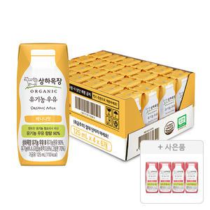 상하목장 유기농 바나나우유 125ml, 24개 + 증정(딸기우유 125ML 4입,1개)