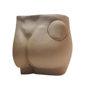 근육주사모형 둔부 연습 근육 실습용 실습 피하 정맥주사 모형 팔뚝 정맥 채혈 혈관