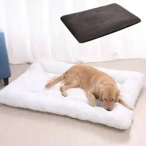 강아지방석 쿠션 반려견 고양이 침대 벨벳 매트2XL WFJBUUD