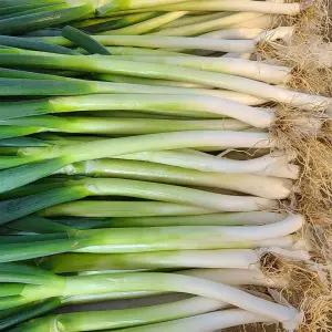 3kg/5kg/10kg 국내산 손질 대파 (임자도파파)
