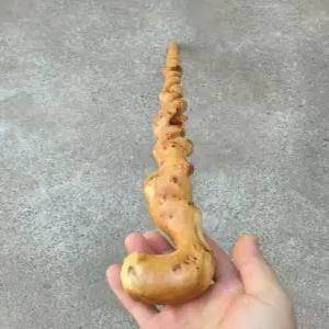 감태나무 지팡이 어르신 시각장애인 수제 선물 효도